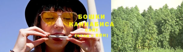 прущая мука Осташков