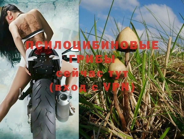 метадон Осинники