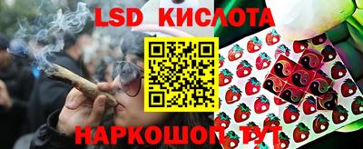 шишки Заволжье