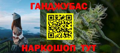 шишки Заволжье