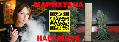 шишки Заволжье