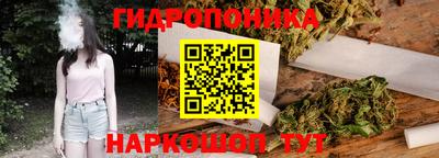 шишки Заволжье