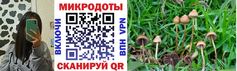 наркошоп  Советская Гавань  Галлюциногенные грибы MAGIC MUSHROOMS 