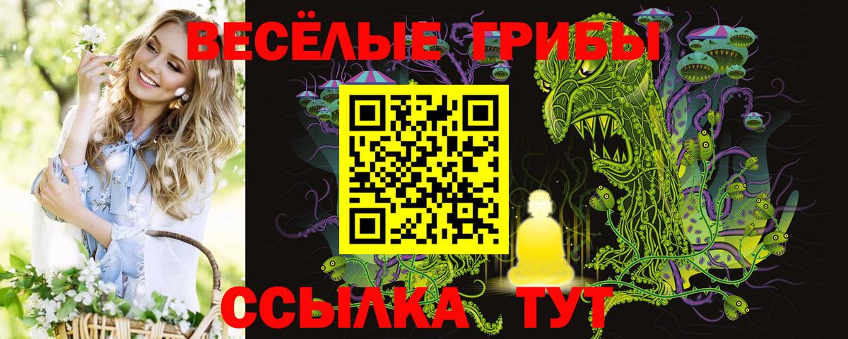 Галлюциногенные грибы Psilocybine cubensis Советская Гавань