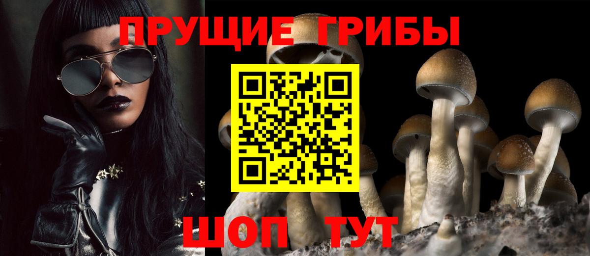 Советская Гавань  Галлюциногенные грибы ЛСД  Вход с VPN 