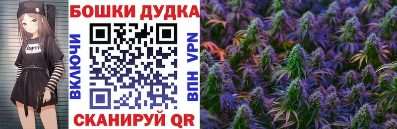 где купить   Советская Гавань  Бошки Шишки план 
