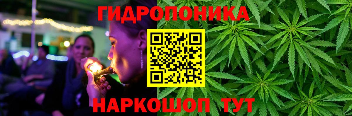 Конопля семена Советская Гавань